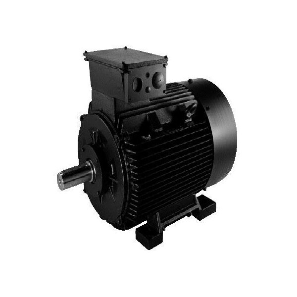 Pump Motor, IEC Motors 50Hz/60Hz, IP 55 (TEFC), IE3 (Premium Efficiency) Pumps, 3 Phase, FF500